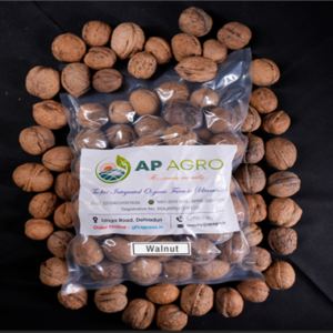 Pahadi Walnut
